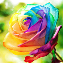 Load image into Gallery viewer, Rose Flower